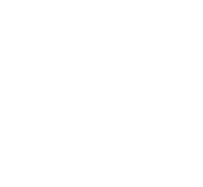 Internship Logo